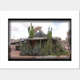 Fields Cactus Garden & Trichocereus Validus Posters and Art